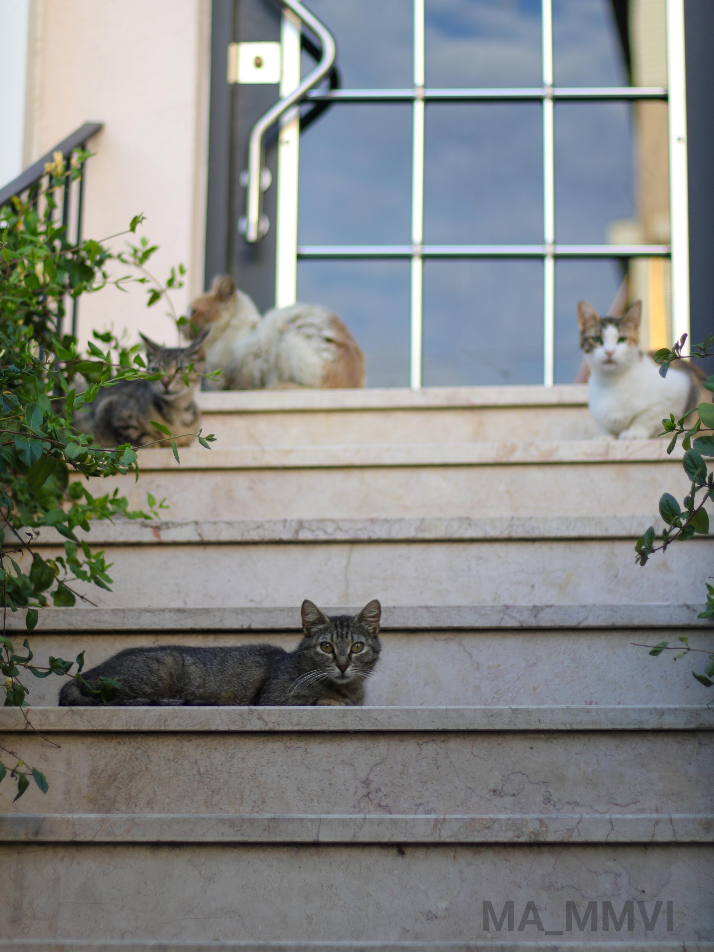 Street photography in Istanbul